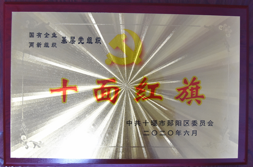 基層黨(dang)組織“十面(mian)紅旗”2020