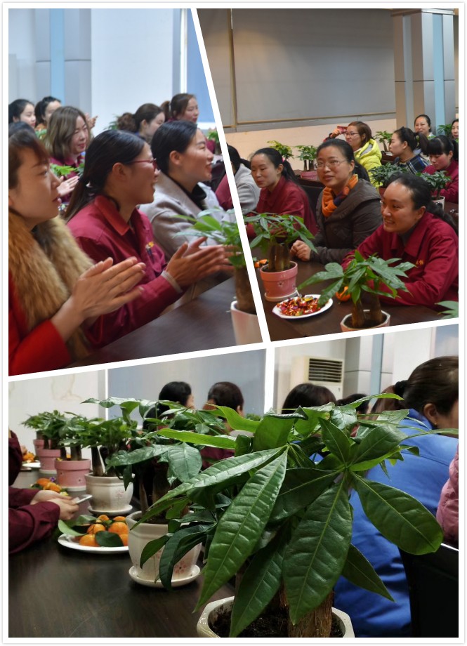 1552097152775568.jpg 集錦(jin).jpg