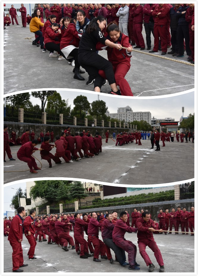 1572937734839068.jpg 1572937734839068.jpg