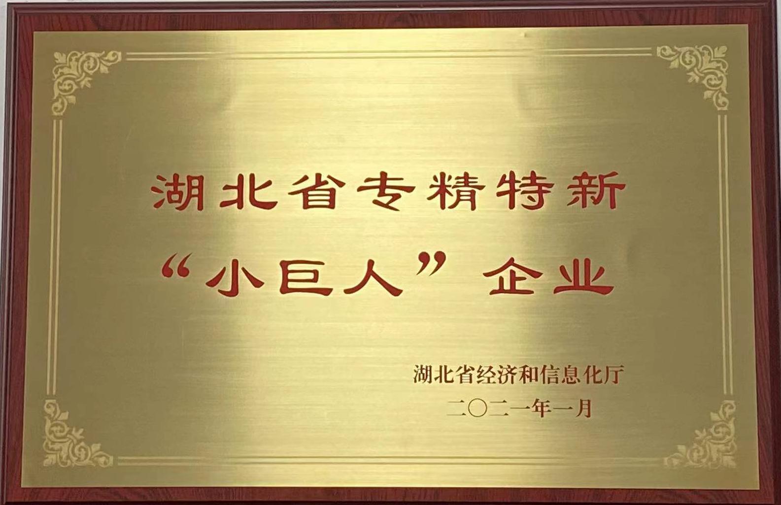 湖(hú)北省專精(jīng)特新小巨(jù)人