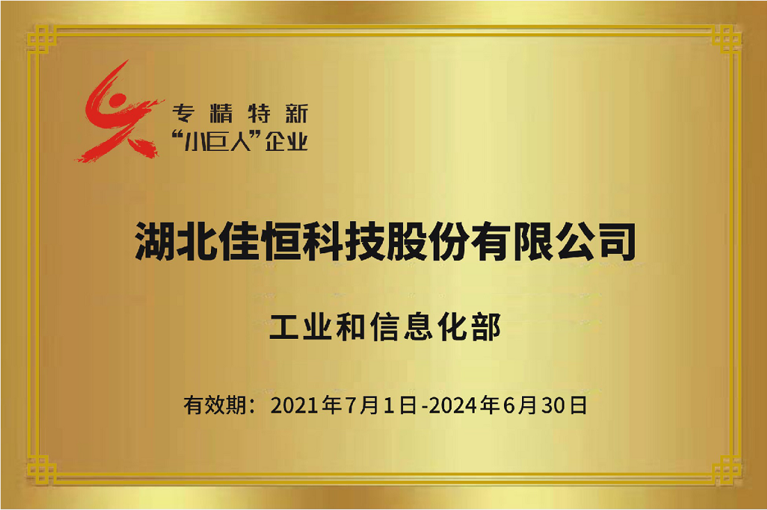 國家級(jí)專精特新(xīn)小巨人2021