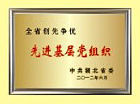 先進(jìn)基層黨組(zǔ)織