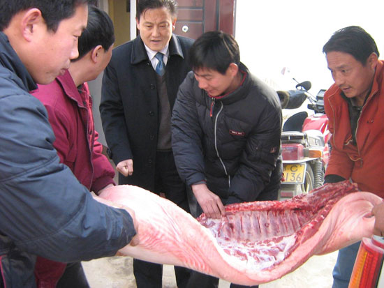 慰問(wèn)茶店福利(lì)院老人